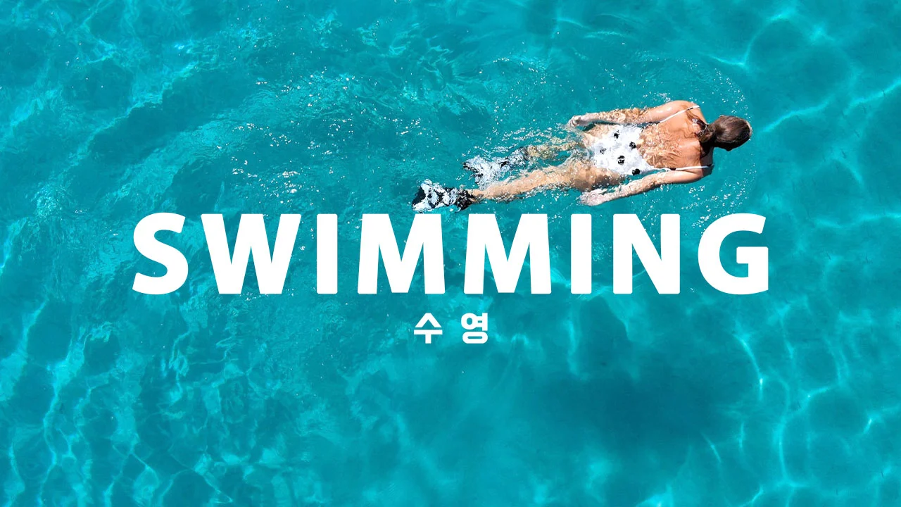 수영 카테고리