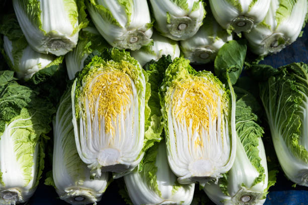 김장 배추 고르는 법 신선한 배추와 무 선택 팁