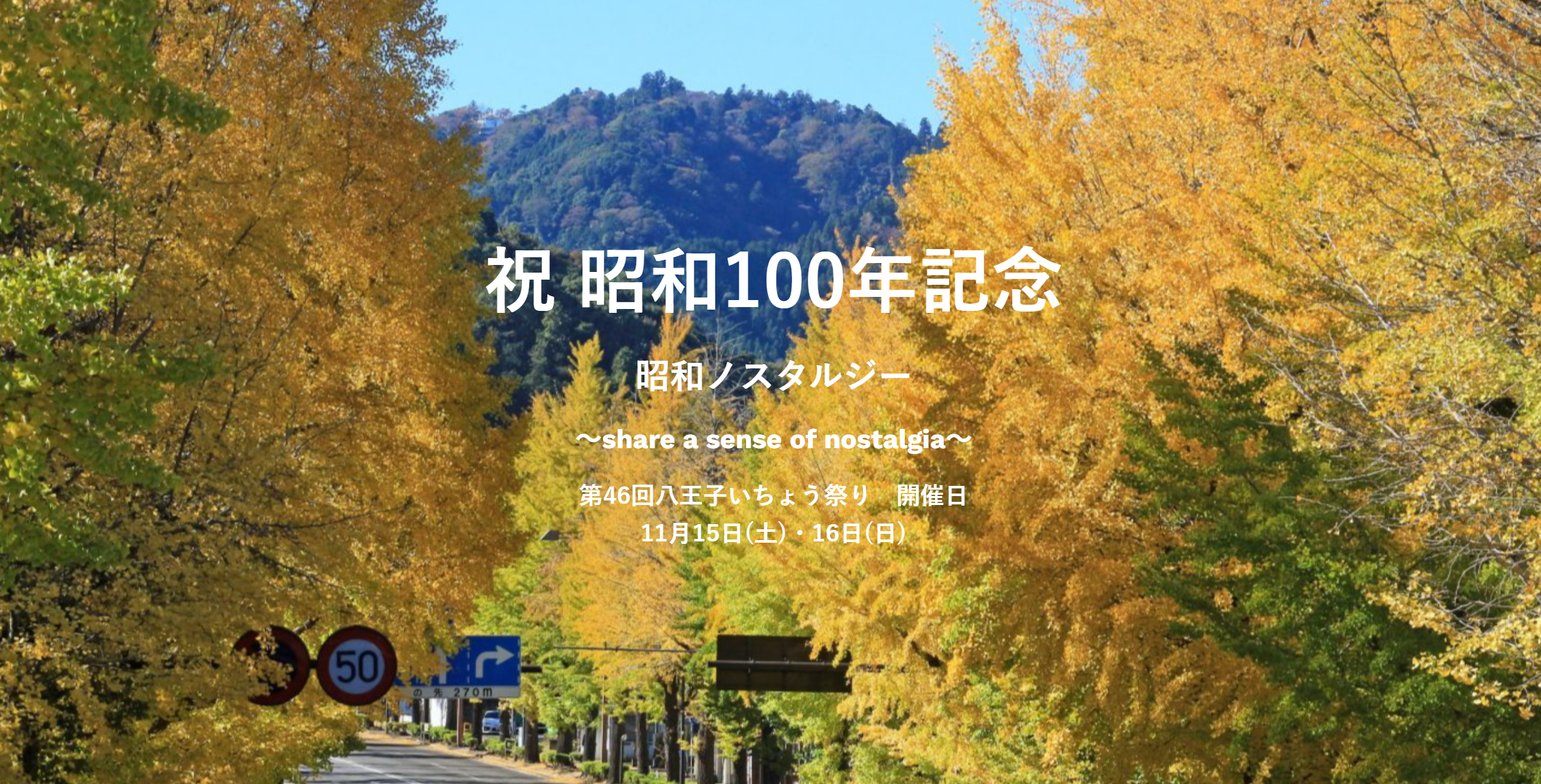 도쿄 하치오지 은행나무 축제