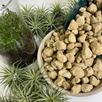 난석 배수층 만들기 뿌리썩음예방 흙배합 물주기간격 조절_8