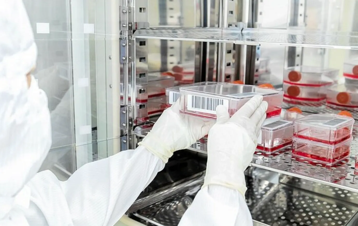 일본 줄기세포 주사 치료