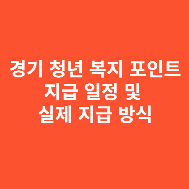 경기 청년 복지 포인트 지급 일정, 실제 지급 방식과 체감 후기