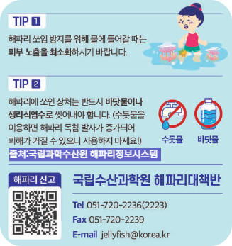 노무라입깃해파리 응급처치 방법