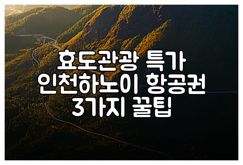 효도관광 특가 인천하노이 항공권 3가지 꿀팁