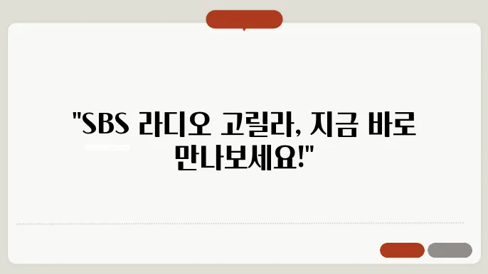 sbs 라디오 고릴라 사용자의 경험
