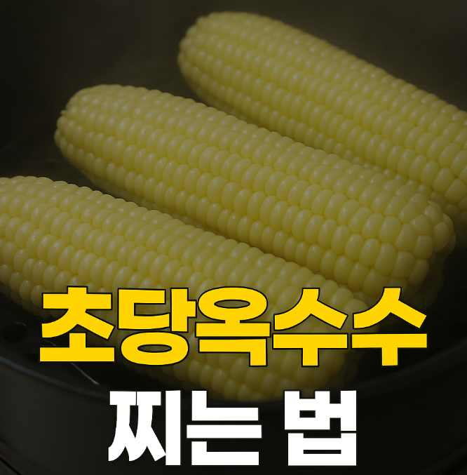 초당옥수수 찌는법