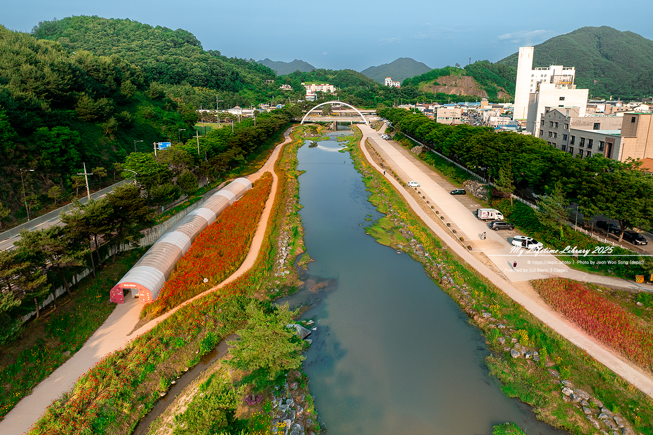 #꽃 #강 #운동장 #양귀비 #괴산 #스포츠센터 #스타디움