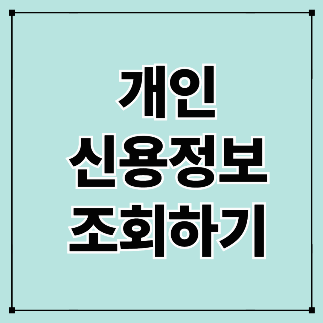 개인 신용정보조회로 내 신용 상태 파악하기