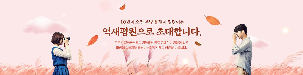 황매산 억새축제 2025, 합천 하늘정원에서 즐기는 가을축제