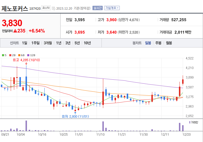 제노포커스 3개월 주가(일봉)