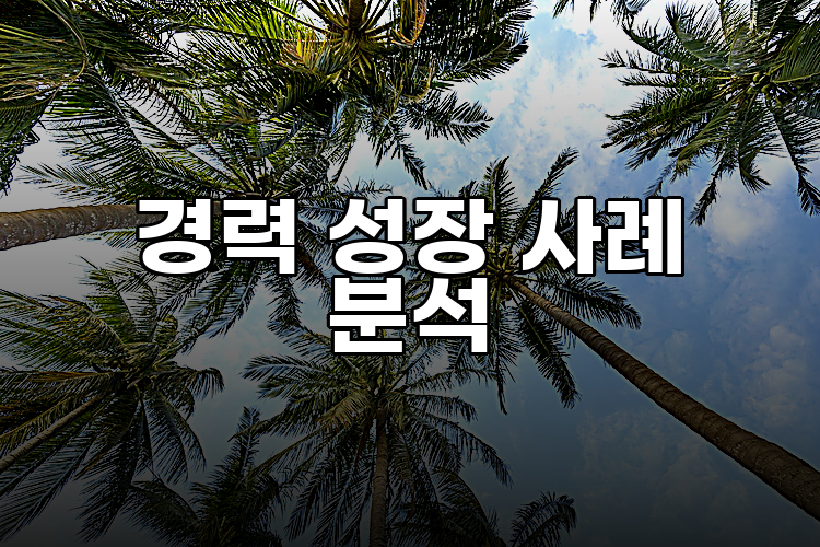 경력 성장 사례 분석