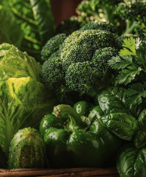 비타민K 채식주의자를 위한 식물성 식품