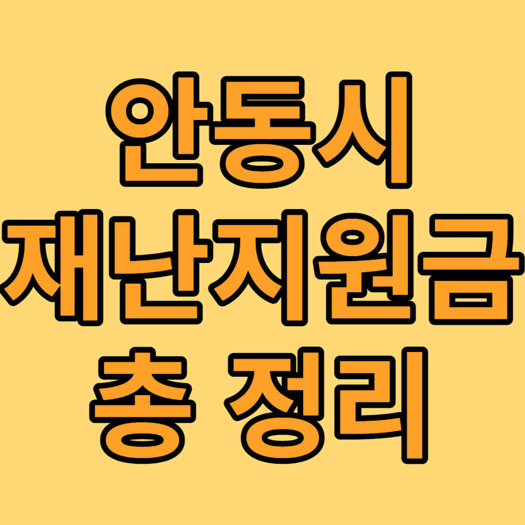 안동시 재난지원금