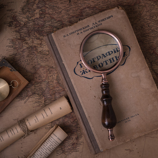 연말정산 간소화 서비스