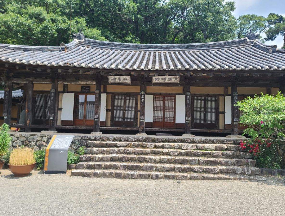 도리사