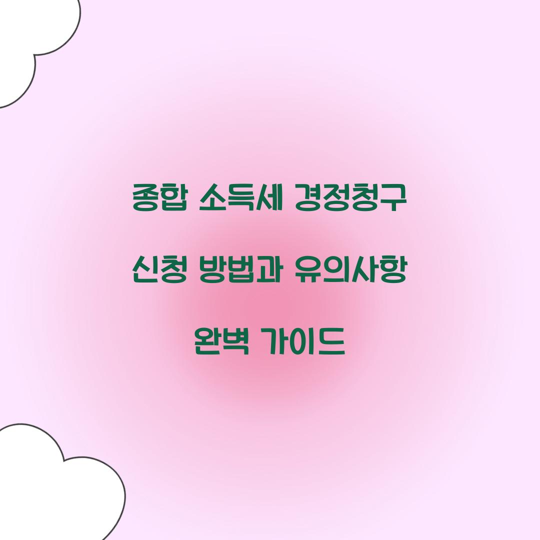 종합 소득세 경정청구 신청 방법과 유의사항