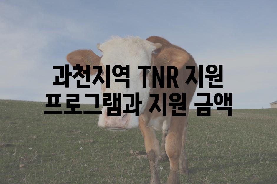 과천지역 TNR 지원 프로그램과 지원 금액