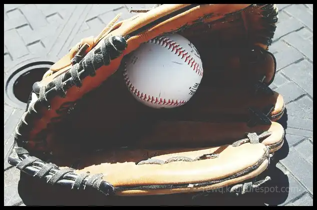 2024 WBSC 야구 프리미어 12 대표팀 명단 (28명 최종 확정)