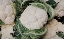 한살림 인터넷장보기