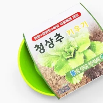 청상추 재배 모종 선택 잎 수확 습도 관리_4