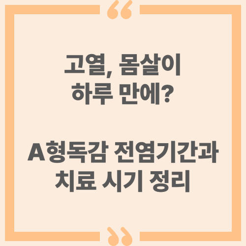 고열·몸살이 하루 만에? A형독감 전염기간과 치료 시기 정리