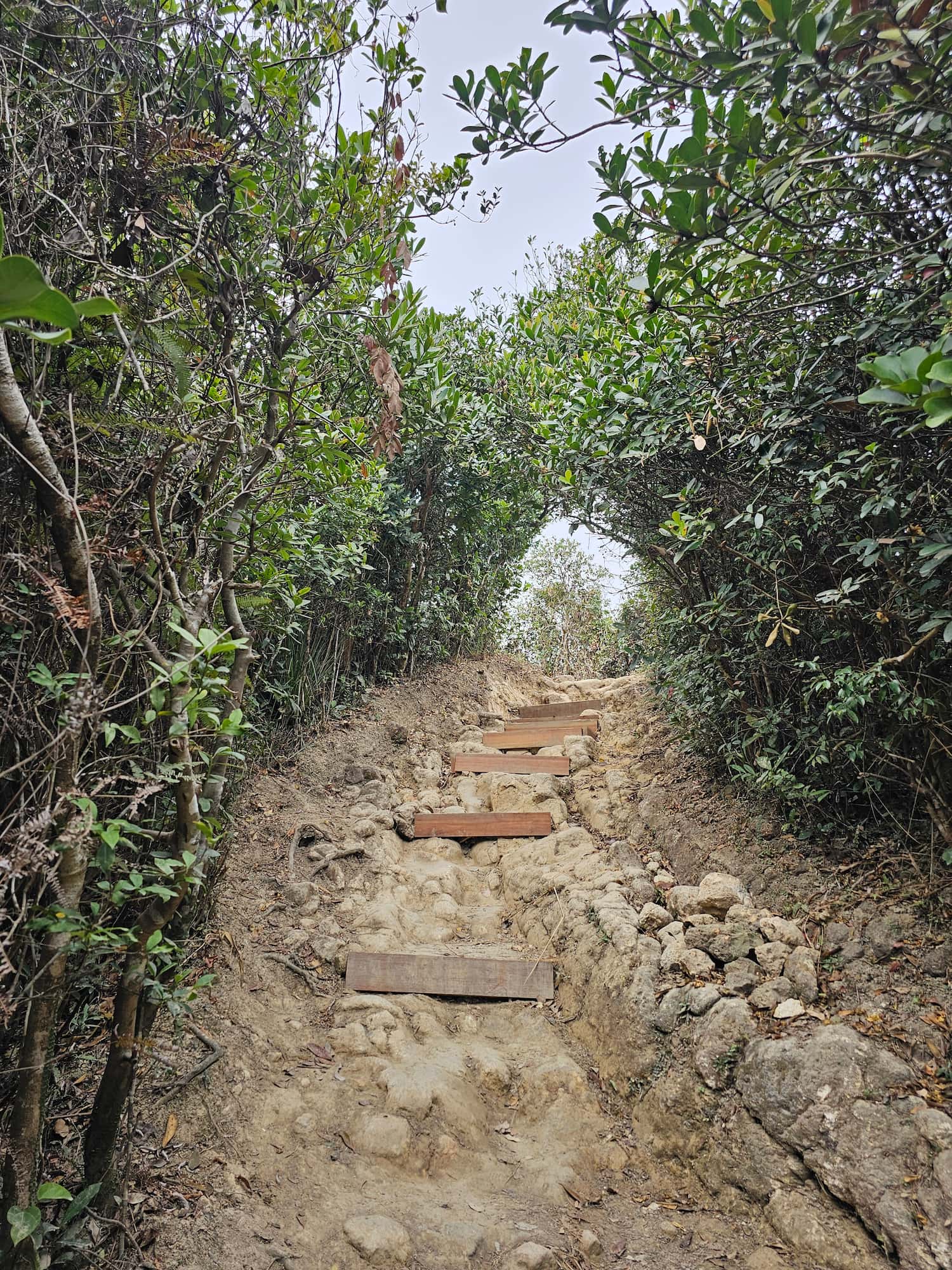 드래곤즈 백 후기