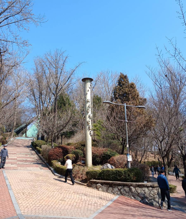 자유공원 벚꽃길