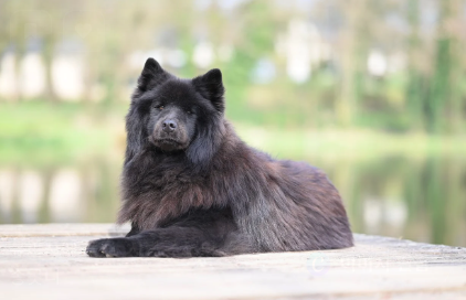 왜 영양제가 필요할까요? 관련 사진