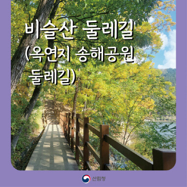 [명품숲길 50선] 비슬산둘레길 봄&middot;가을 맞춤 루트 : 참꽃군락 &amp; 억새평원 완전정복