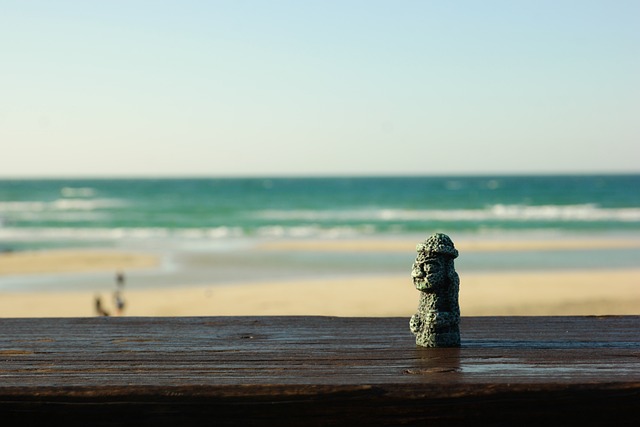 제주도에서 갈만한 곳 5곳