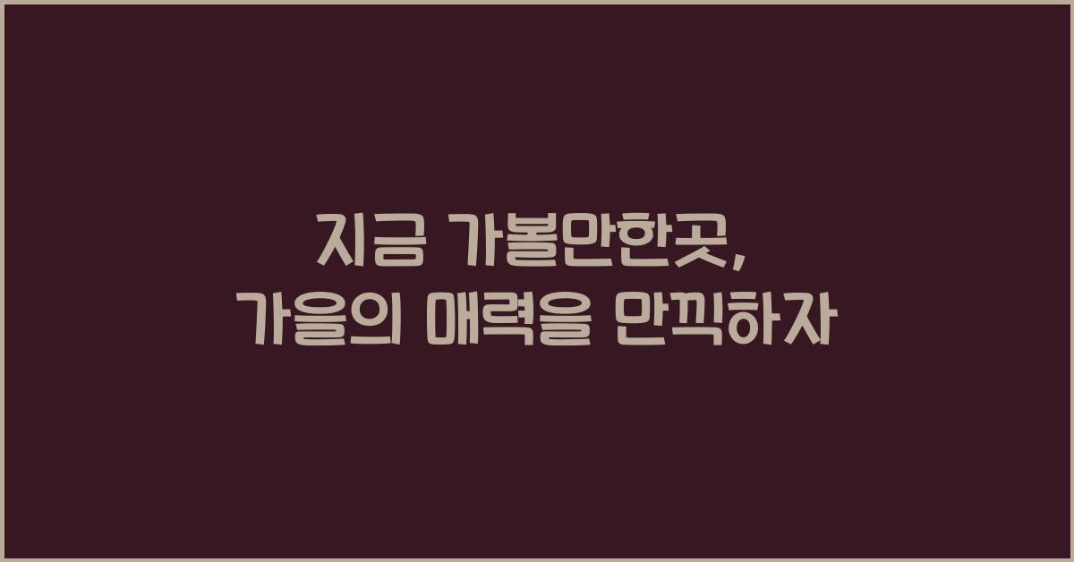 지금 가볼만한곳