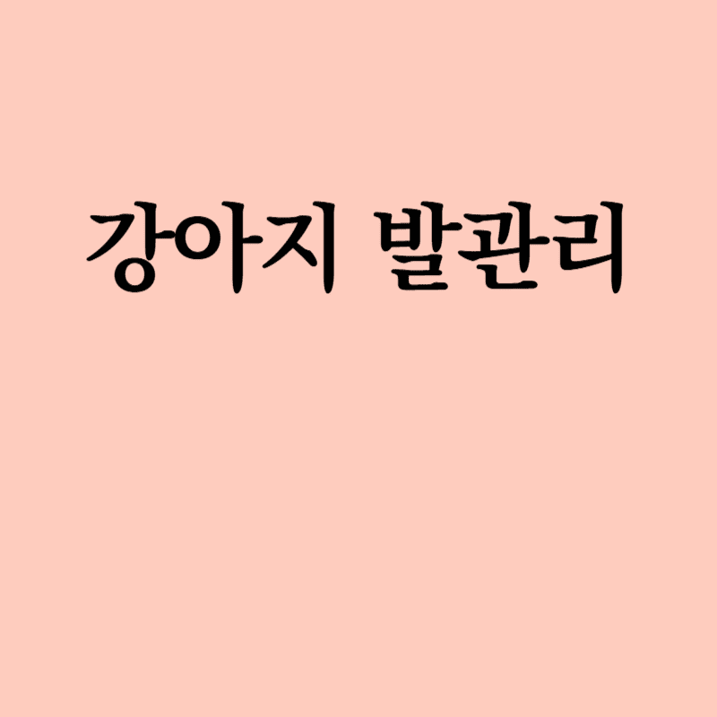 강아지발관리