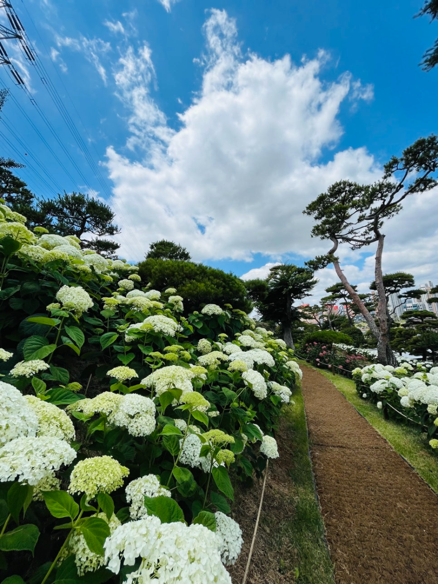 특색있고 아름다운 민간 정원 30선 추천 여행 - 07. 청주 공간정원