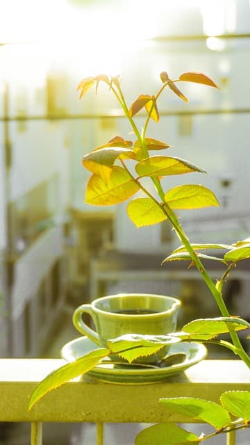 나의 제로 웨이스트 실천기-미세플라스틱 줄이기