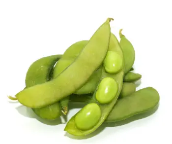 글루타치온이 많이 들어있는 음식 BEST 10