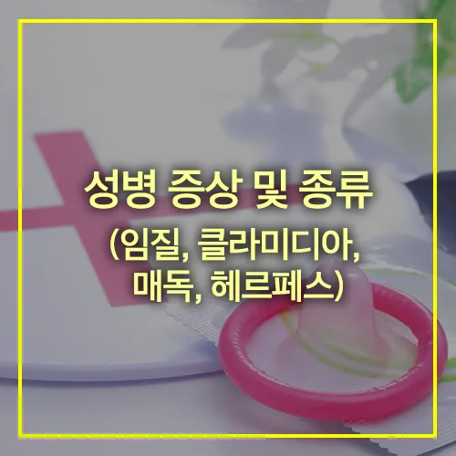 성병 증상 종류 임질 클라미디아 매독 헤르페스