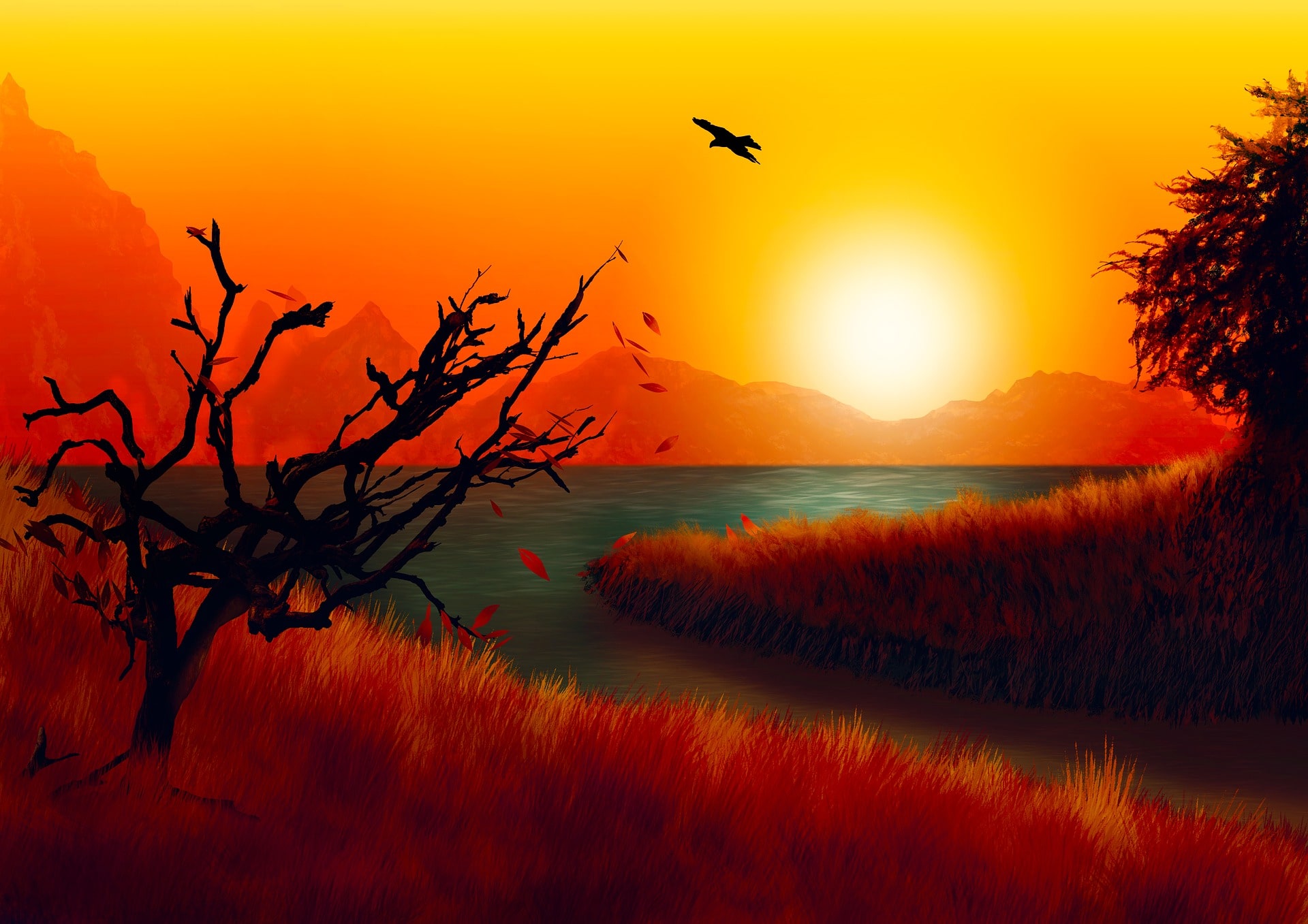 가을 이미지 사진 무료 다운