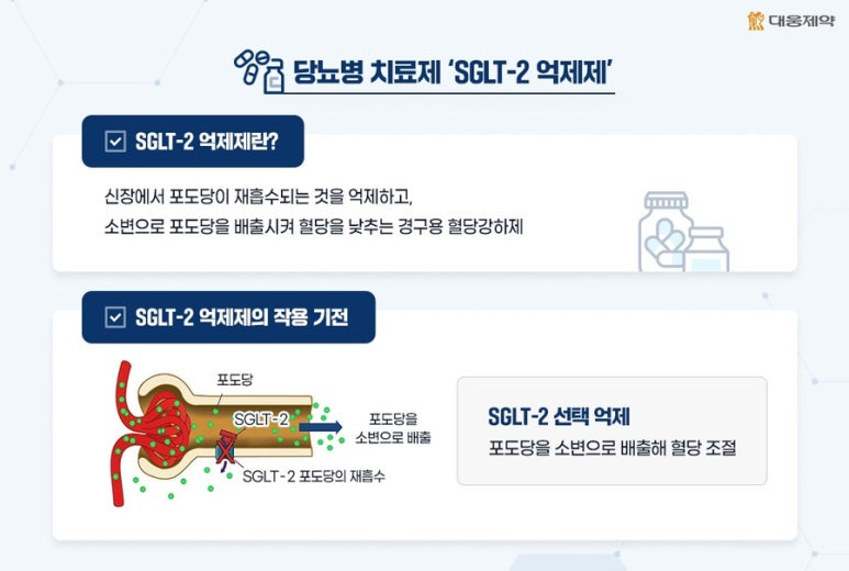 SGLT2i - 출처: 대웅제약 뉴스룸