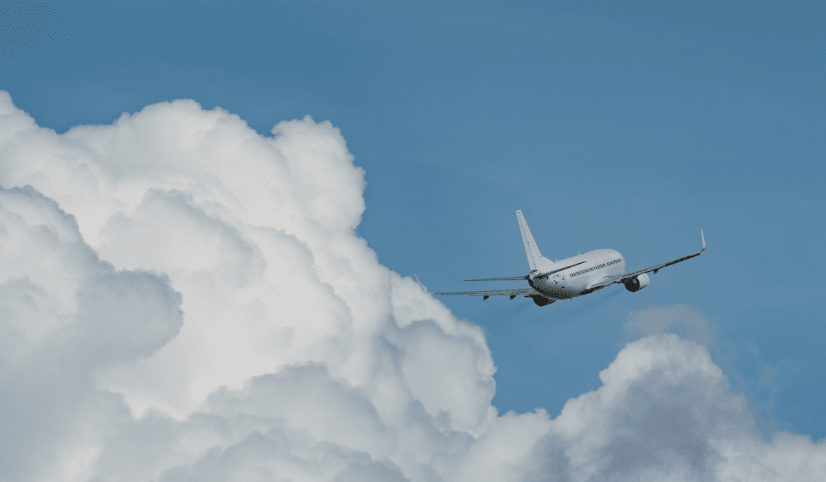 땡처리_항공권_26