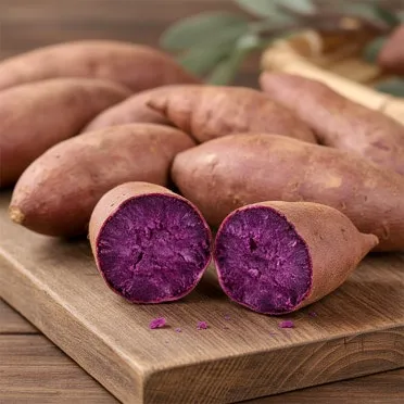 중부지방 고구마 수확시기 핵심 체크_4