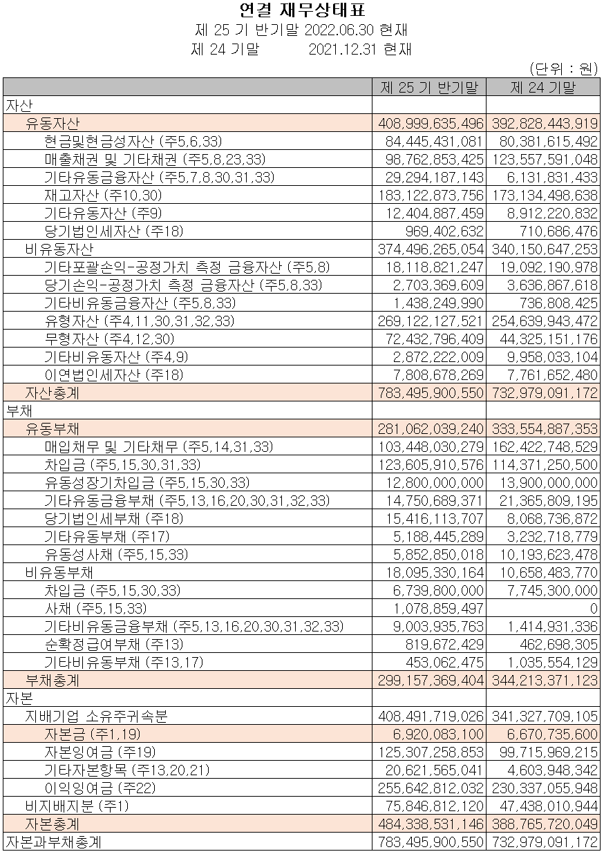 드림텍 - 재무상태표