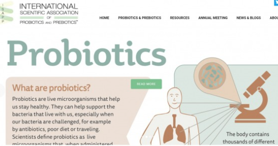 프로바이오틱스 논문