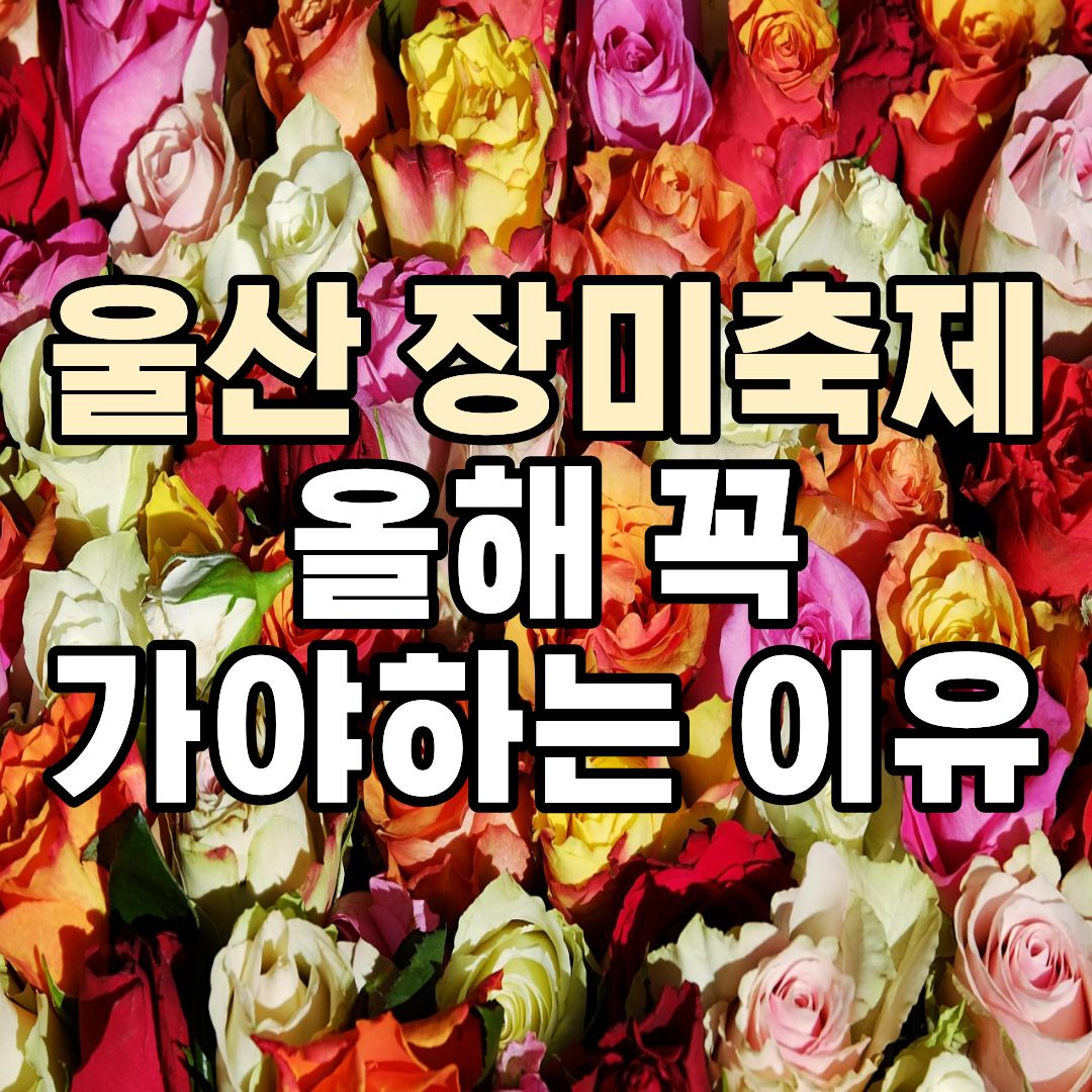 울산대공원 장미축제 초대가수 공연 일정과 입장료 주차 정보