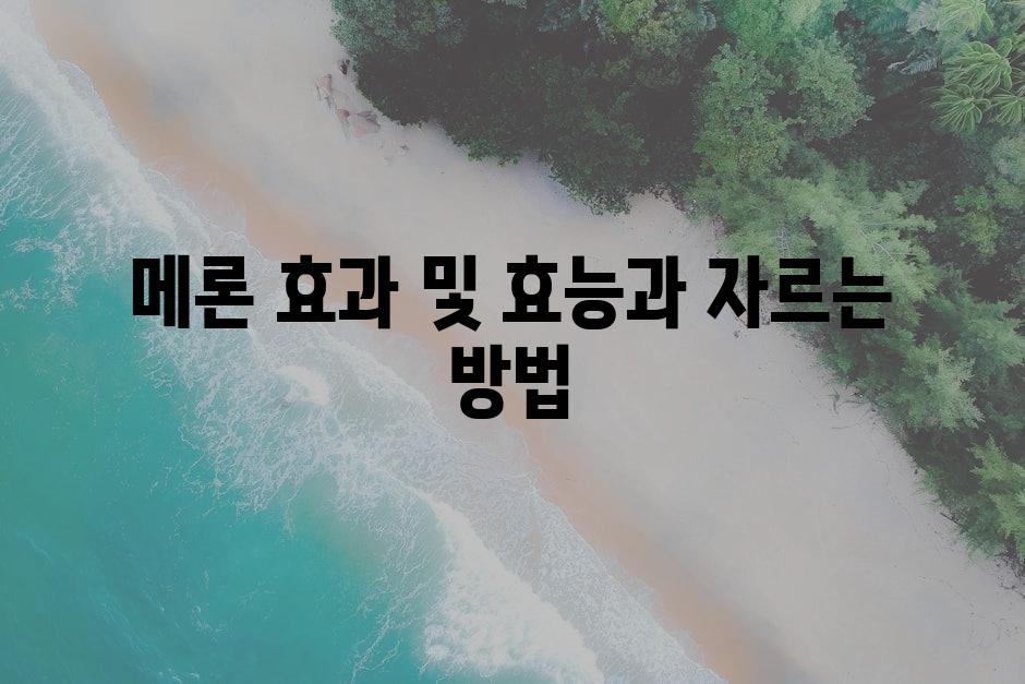 샘플 (10)