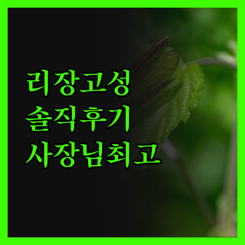 리장고성 호텔, 솔직 후기! 사장님 