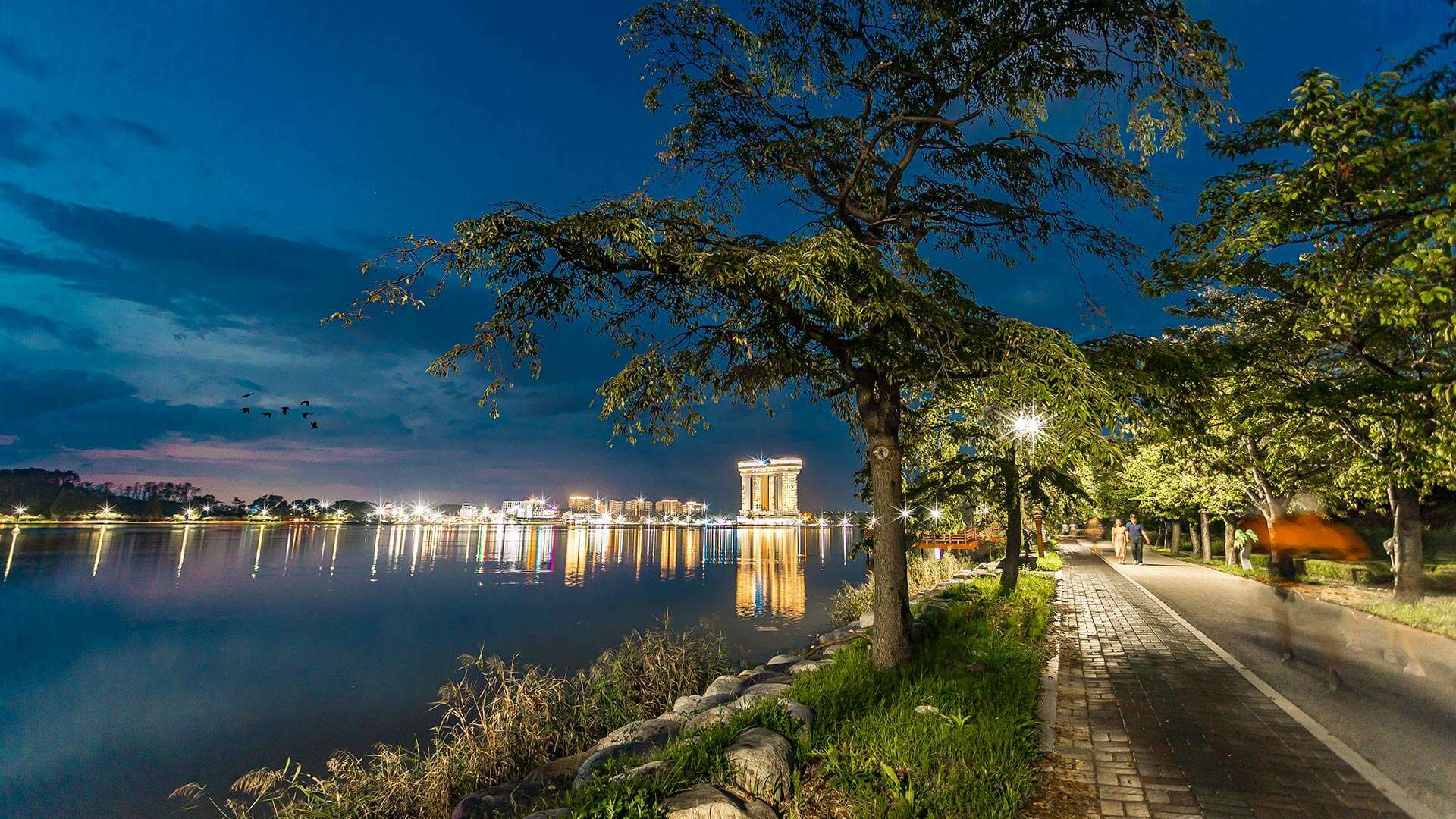 강릉 사근진 해변 유채꽃밭