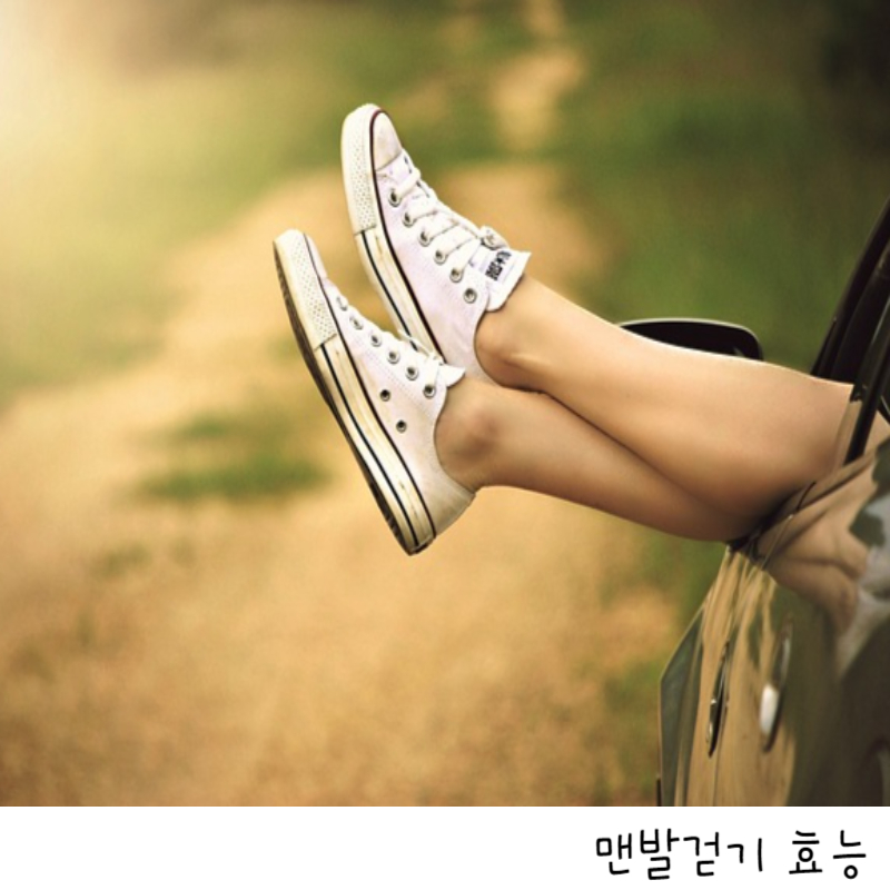 맨발걷기효능