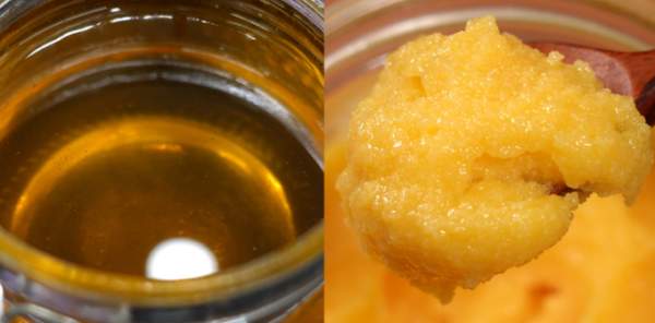 기버터 효능 기버터다이어트 먹는법 편스토랑 기버트 만들기 활용법