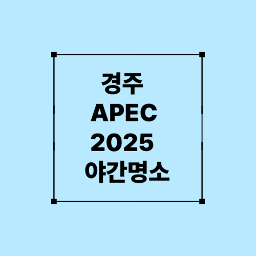 경주APEC 2025 야간명소