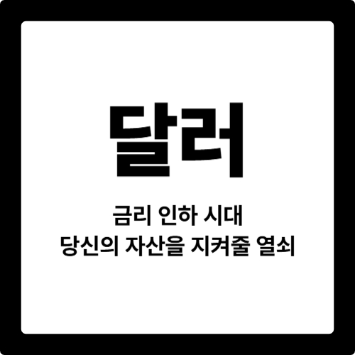 달러, 금리 인하 시대 당신의 자산을 지켜줄 열쇠